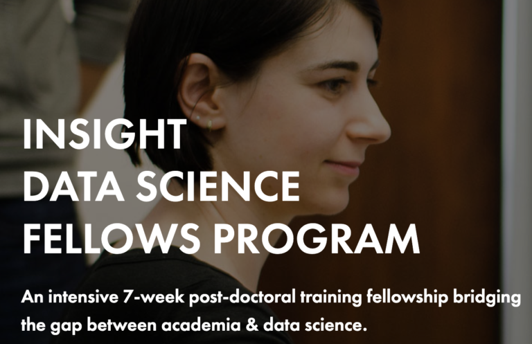 Insight Fellows Program Careers Beyond Academia