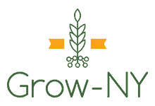 Logo with plant outline wrapped in gold ribbon