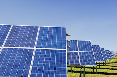 group of solar panels in a green field