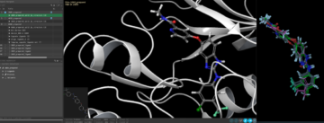 computational molecular models